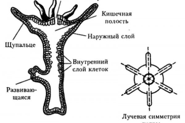 Kra26.gl