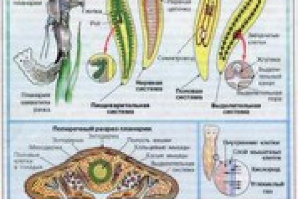 Как найти официальный сайт кракен