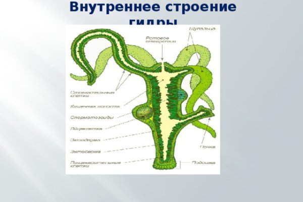 Где найти рабочую ссылку кракен